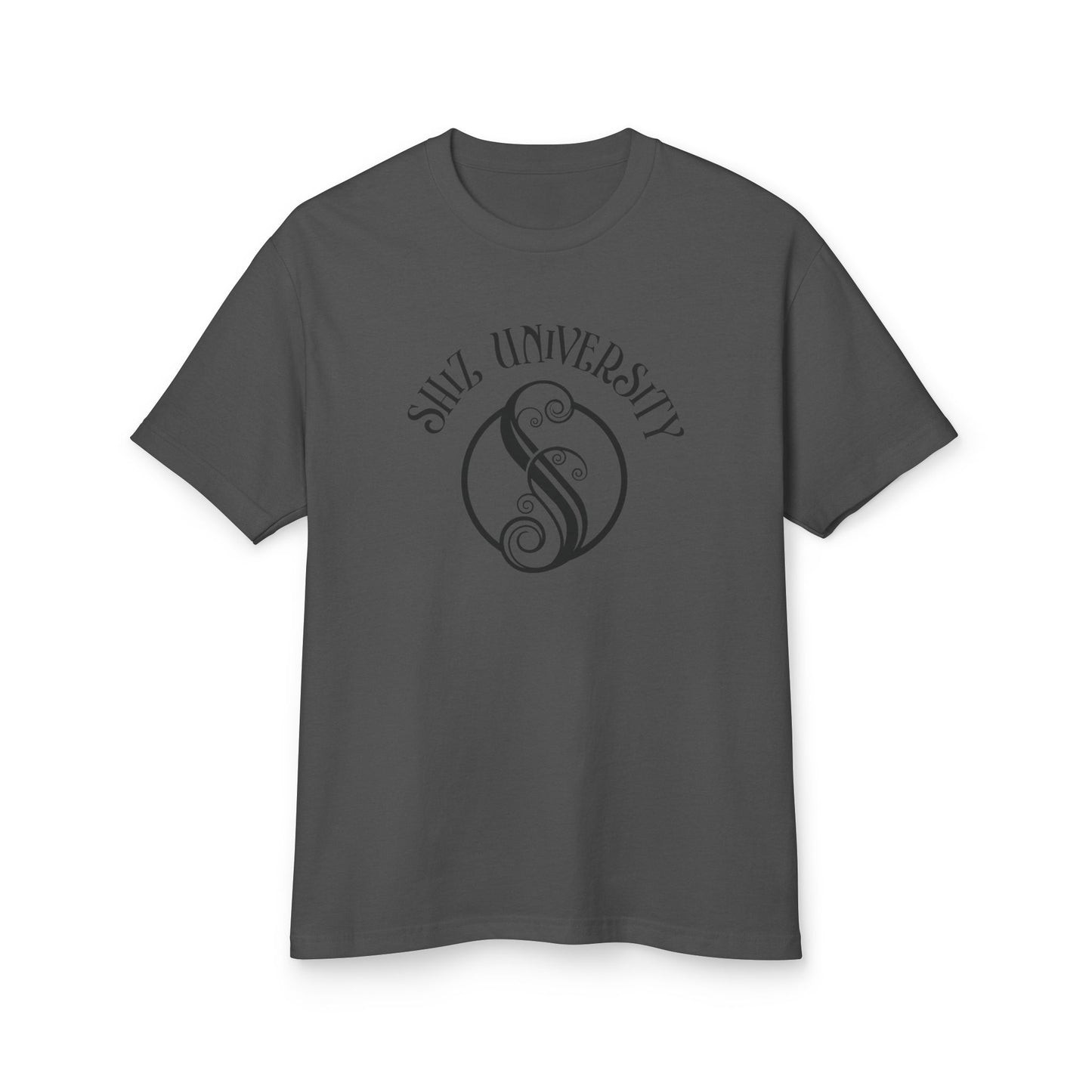 Shiz University Wicked Movie merch Unisex Garment-Dyed Cotton Tee shirt
