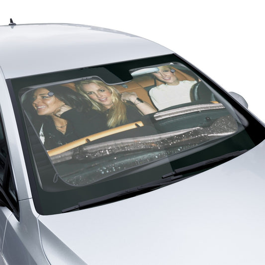 ICONIC BFFs Paris Lindsay Britney 2007 Car Sun Shades