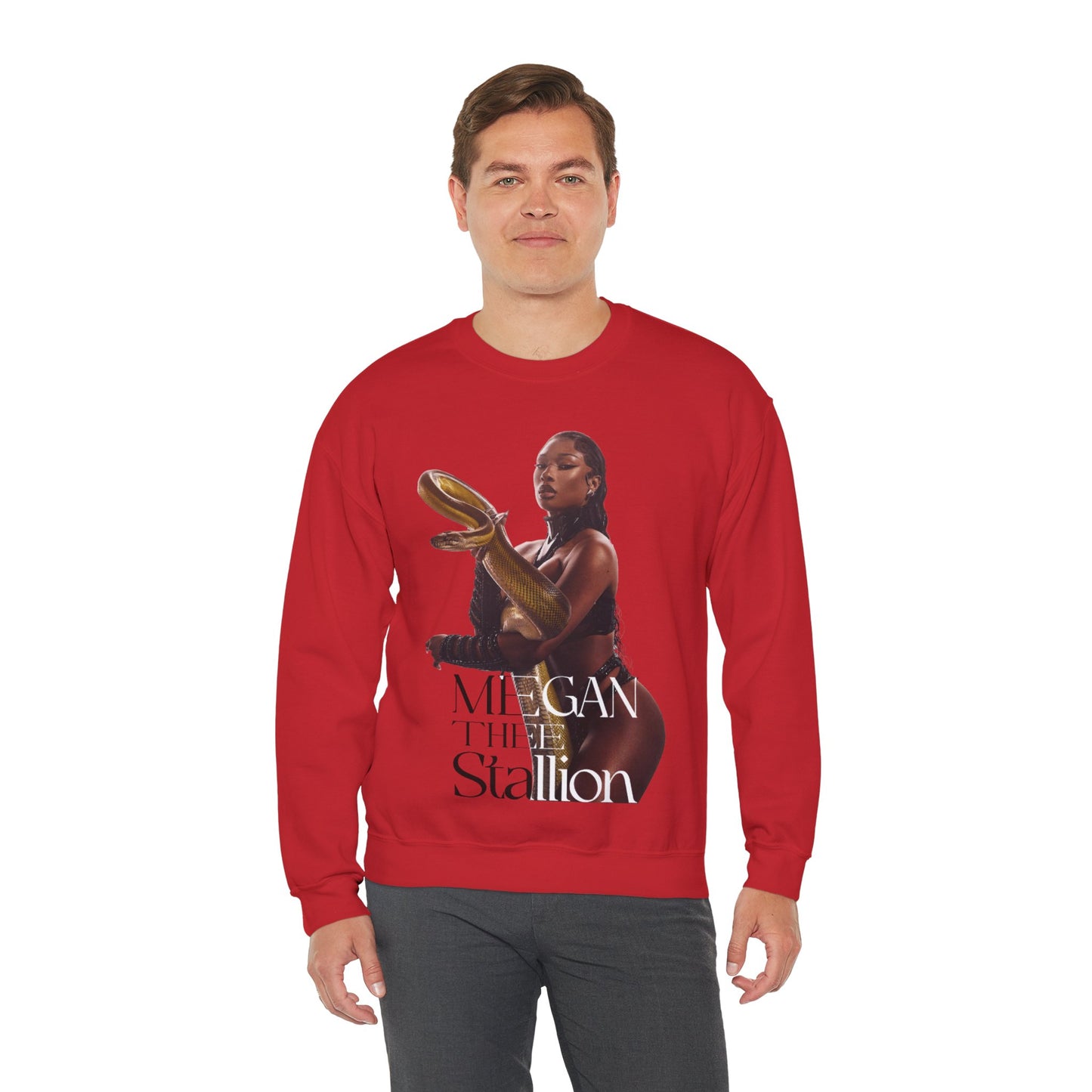 Megan Thee Stallion Sweatshirt