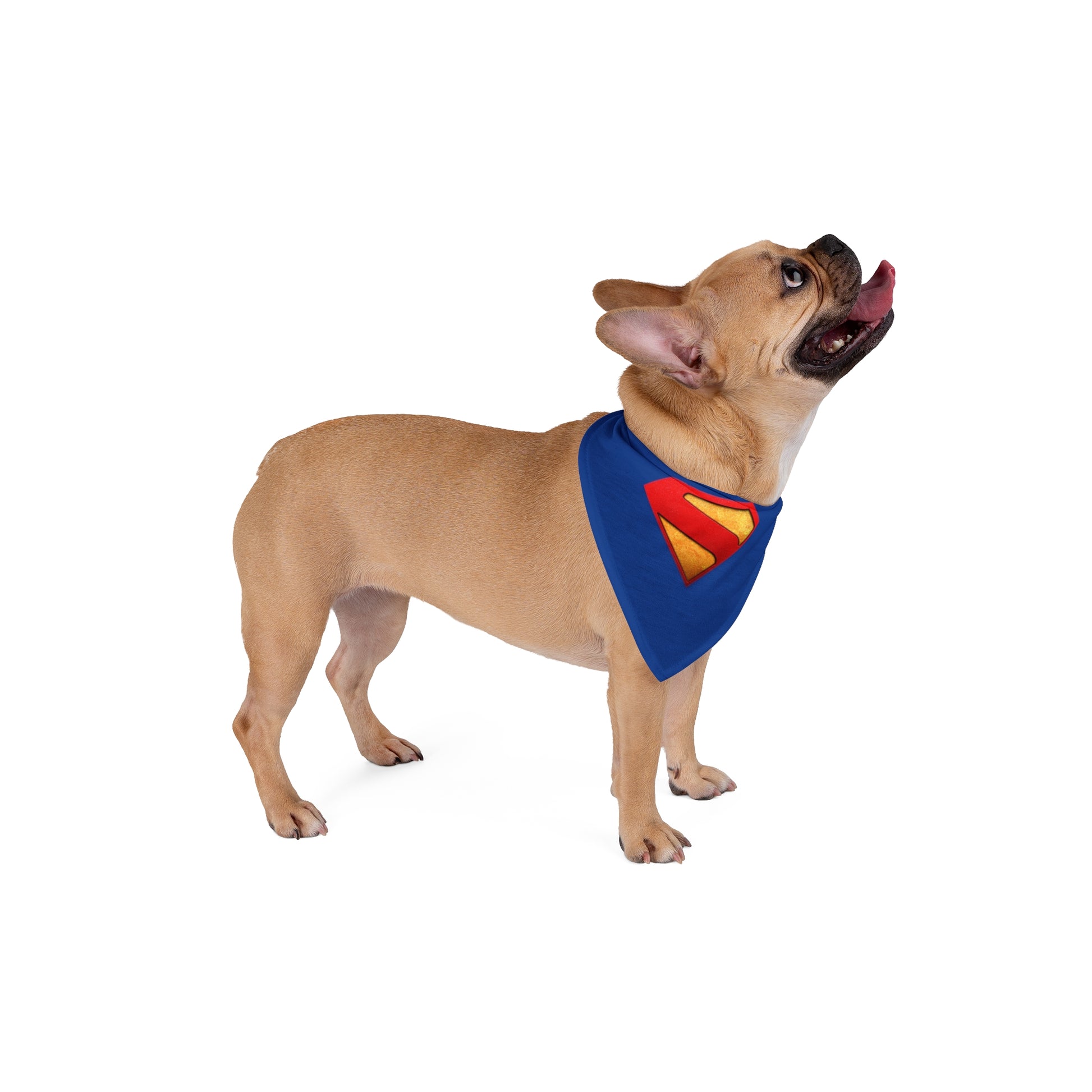 Superman Legacy (2025 Movie New Logo) Pet Bandana