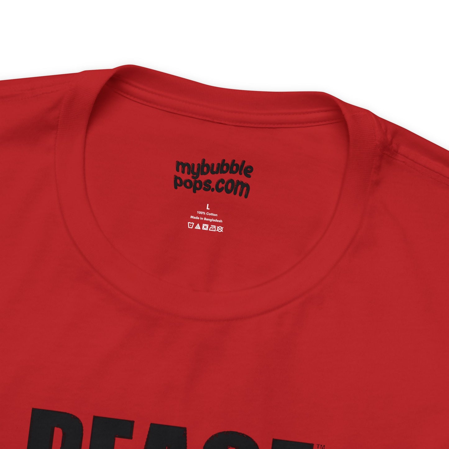 PEACE OUT TOUR (Aerosmith) 2024 Shirt