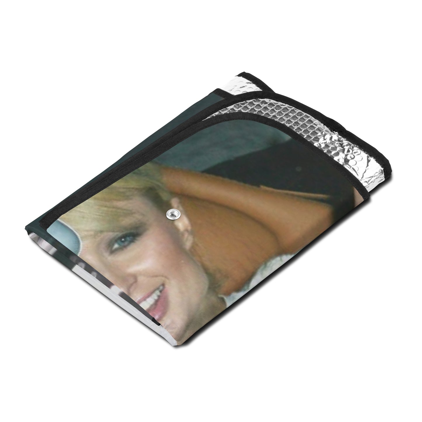 ICONIC BFFs Paris Lindsay Britney 2007 Car Sun Shades